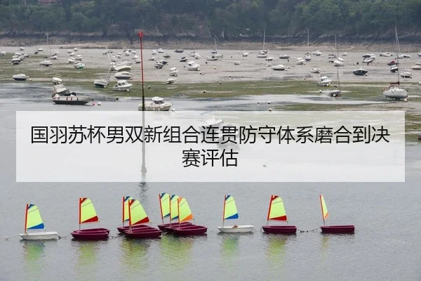 国羽苏杯男双新组合连贯防守体系磨合到决赛评估